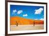 Namib Desert, Sossusvlei, Namibia-DmitryP-Framed Photographic Print