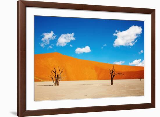 Namib Desert, Sossusvlei, Namibia-DmitryP-Framed Photographic Print