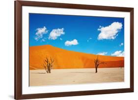 Namib Desert, Sossusvlei, Namibia-DmitryP-Framed Photographic Print