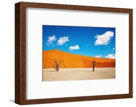 Namib Desert, Sossusvlei, Namibia-DmitryP-Framed Photographic Print