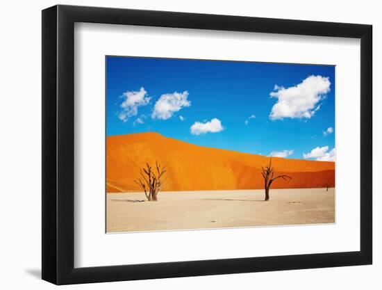 Namib Desert, Sossusvlei, Namibia-DmitryP-Framed Photographic Print