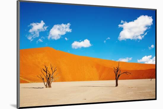 Namib Desert, Sossusvlei, Namibia-DmitryP-Mounted Photographic Print