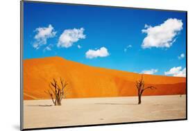 Namib Desert, Sossusvlei, Namibia-DmitryP-Mounted Photographic Print