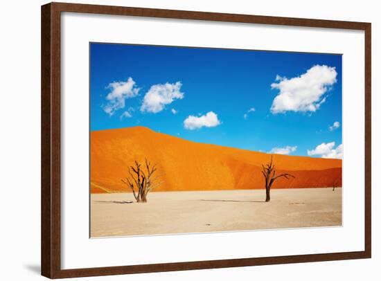 Namib Desert, Sossusvlei, Namibia-DmitryP-Framed Photographic Print