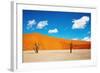 Namib Desert, Sossusvlei, Namibia-DmitryP-Framed Photographic Print