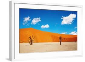 Namib Desert, Sossusvlei, Namibia-DmitryP-Framed Photographic Print