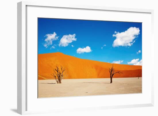 Namib Desert, Sossusvlei, Namibia-DmitryP-Framed Photographic Print