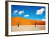 Namib Desert, Sossusvlei, Namibia-DmitryP-Framed Photographic Print