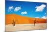 Namib Desert, Sossusvlei, Namibia-DmitryP-Mounted Photographic Print