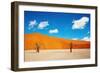 Namib Desert, Sossusvlei, Namibia-DmitryP-Framed Photographic Print