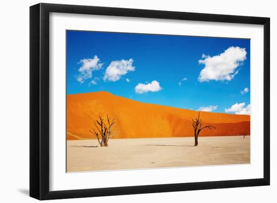 Namib Desert, Sossusvlei, Namibia-DmitryP-Framed Photographic Print