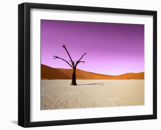 Namib Desert, Sossusvlei, Namibia-DR_Flash-Framed Photographic Print