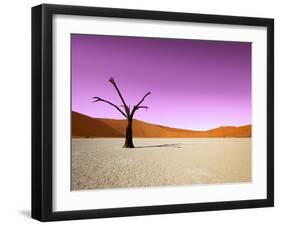 Namib Desert, Sossusvlei, Namibia-DR_Flash-Framed Photographic Print