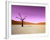 Namib Desert, Sossusvlei, Namibia-DR_Flash-Framed Photographic Print