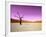 Namib Desert, Sossusvlei, Namibia-DR_Flash-Framed Photographic Print