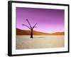 Namib Desert, Sossusvlei, Namibia-DR_Flash-Framed Photographic Print