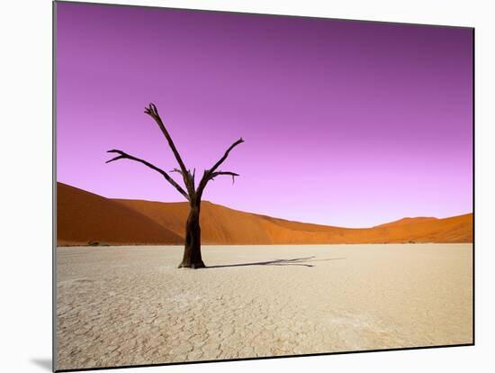Namib Desert, Sossusvlei, Namibia-DR_Flash-Mounted Photographic Print