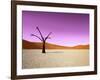 Namib Desert, Sossusvlei, Namibia-DR_Flash-Framed Photographic Print