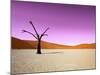 Namib Desert, Sossusvlei, Namibia-DR_Flash-Mounted Photographic Print