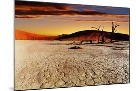 Namib Desert, Sossusvlei, Namibia-DmitryP-Mounted Photographic Print