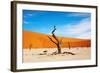 Namib Desert, Sossusvlei, Namibia-DmitryP-Framed Photographic Print