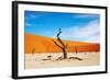 Namib Desert, Sossusvlei, Namibia-DmitryP-Framed Photographic Print