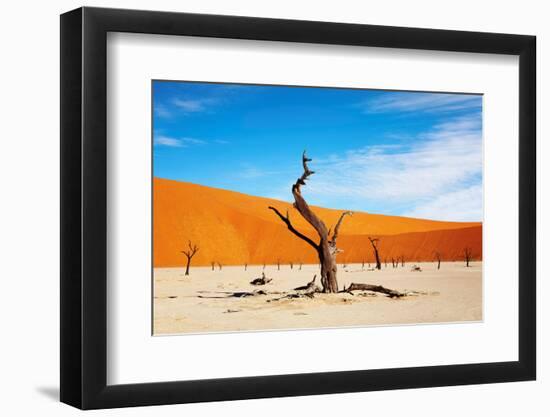 Namib Desert, Sossusvlei, Namibia-DmitryP-Framed Photographic Print