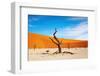 Namib Desert, Sossusvlei, Namibia-DmitryP-Framed Photographic Print