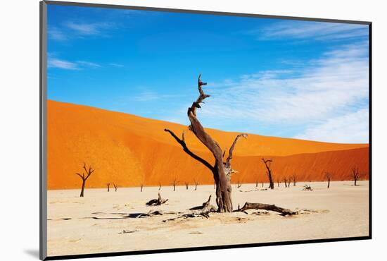 Namib Desert, Sossusvlei, Namibia-DmitryP-Mounted Photographic Print