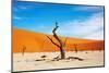 Namib Desert, Sossusvlei, Namibia-DmitryP-Mounted Photographic Print