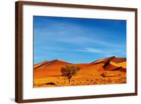 Namib Desert, Sossusvlei, Namibia-DmitryP-Framed Photographic Print