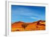 Namib Desert, Sossusvlei, Namibia-DmitryP-Framed Photographic Print