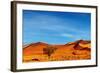 Namib Desert, Sossusvlei, Namibia-DmitryP-Framed Photographic Print