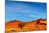 Namib Desert, Sossusvlei, Namibia-DmitryP-Mounted Photographic Print