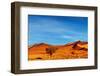 Namib Desert, Sossusvlei, Namibia-DmitryP-Framed Photographic Print