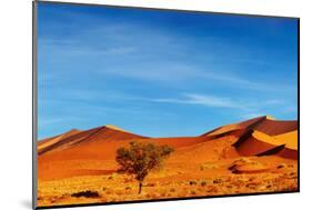 Namib Desert, Sossusvlei, Namibia-DmitryP-Mounted Photographic Print