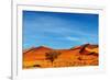 Namib Desert, Sossusvlei, Namibia-DmitryP-Framed Photographic Print