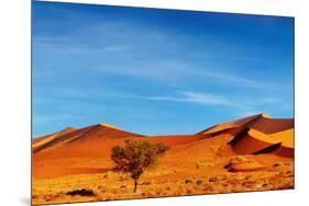 Namib Desert, Sossusvlei, Namibia-DmitryP-Mounted Photographic Print