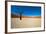 Namib Desert, Sossusvlei, Namibia-DR_Flash-Framed Photographic Print