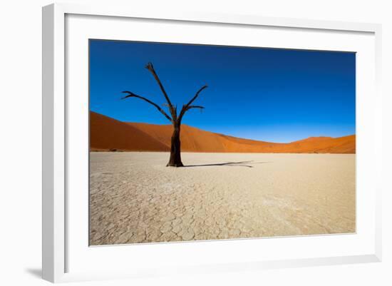 Namib Desert, Sossusvlei, Namibia-DR_Flash-Framed Photographic Print