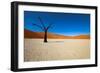 Namib Desert, Sossusvlei, Namibia-DR_Flash-Framed Photographic Print