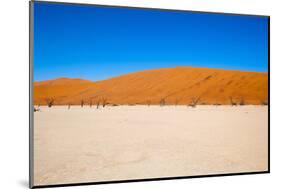 Namib Desert, Sossusvlei, Namibia-DR_Flash-Mounted Photographic Print