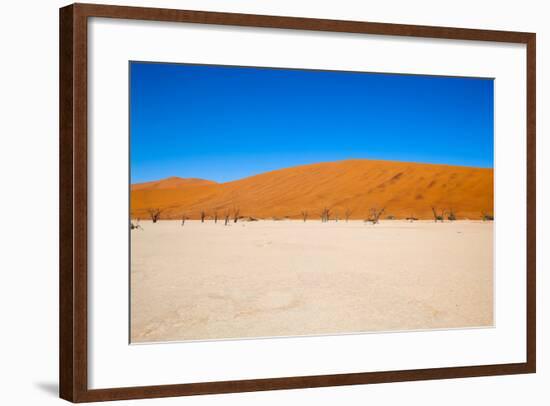 Namib Desert, Sossusvlei, Namibia-DR_Flash-Framed Photographic Print