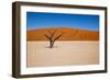 Namib Desert, Sossusvlei, Namibia-DR_Flash-Framed Photographic Print