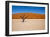 Namib Desert, Sossusvlei, Namibia-DR_Flash-Framed Photographic Print