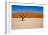 Namib Desert, Sossusvlei, Namibia-DR_Flash-Framed Photographic Print