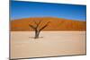 Namib Desert, Sossusvlei, Namibia-DR_Flash-Mounted Photographic Print