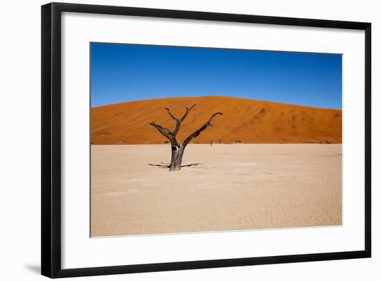 Namib Desert, Sossusvlei, Namibia-DR_Flash-Framed Photographic Print