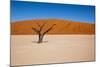 Namib Desert, Sossusvlei, Namibia-DR_Flash-Mounted Photographic Print