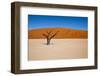 Namib Desert, Sossusvlei, Namibia-DR_Flash-Framed Photographic Print